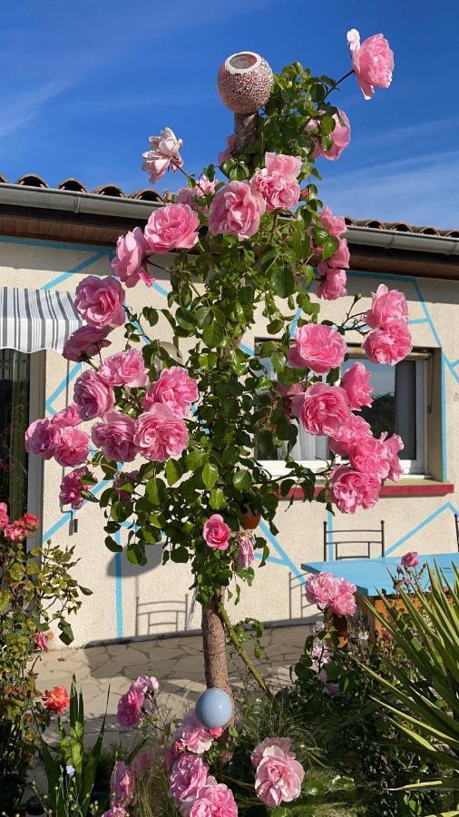 Arcantis Hotel La Gentillhommiere Trebes Exterior photo